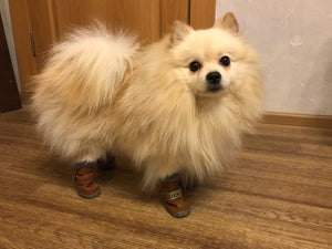 Plush Pup Winter Warmer Boots