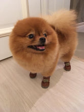 Plush Pup Winter Warmer Boots