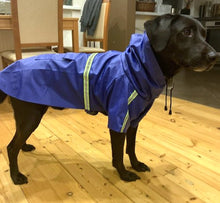 "Drizzle Dog" Reflective Dog Raincoat