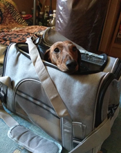 Sky Smart Airline Approved Dog Carrier