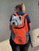 "Dog Around Town" Canine Backpack