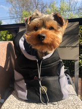 "Dog Around Town" Canine Backpack