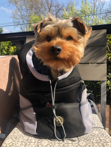 "Dog Around Town" Canine Backpack