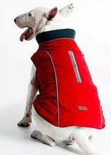 "Cool Weather Canine" Reflective Dog Coat