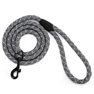 "Color Me Cool" Cotton Rope Leash