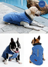 "Cool Weather Canine" Reflective Dog Coat