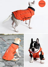 "Cool Weather Canine" Reflective Dog Coat