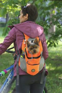 "Dog Around Town" Canine Backpack