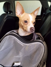 Sky Smart Airline Approved Dog Carrier