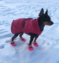 Mutt Moccasin Dog Slippers