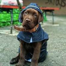 "Downpour Doggo" Waterproof Rain Jacket