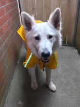 "Drizzle Dog" Reflective Dog Raincoat