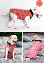 "Cool Weather Canine" Reflective Dog Coat