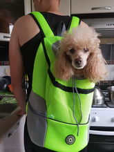 "Dog Around Town" Canine Backpack