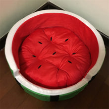 "Taste of Summer" Watermelon Dog Bed