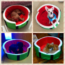 "Taste of Summer" Watermelon Dog Bed