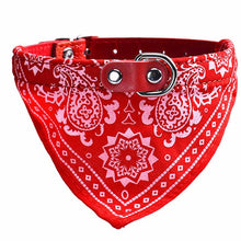 Doggie "Yee-haw" Bandana Collar