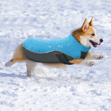 "Super Swell Shell" Dog Jacket