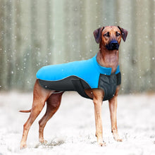 "Super Swell Shell" Dog Jacket