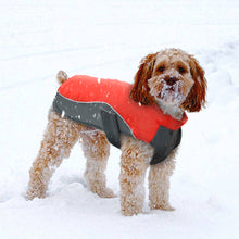 "Super Swell Shell" Dog Jacket