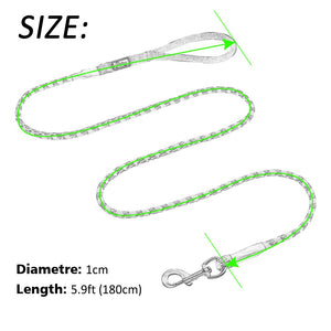 "Climbing Canine" Rope Dog Lead