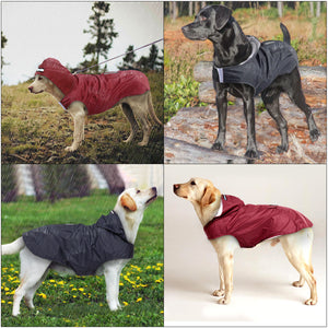 "Downpour Doggo" Waterproof Rain Jacket