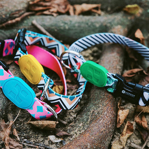 Sunshine Style Dog Collar