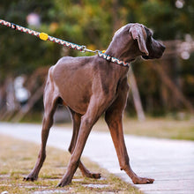 Sunshine Style Dog Collar