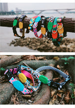 Sunshine Style Dog Collar