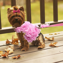 "Flower Power" Floral Dog Harness