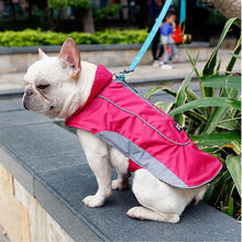 "Warm & Waterproof" Canine Coat