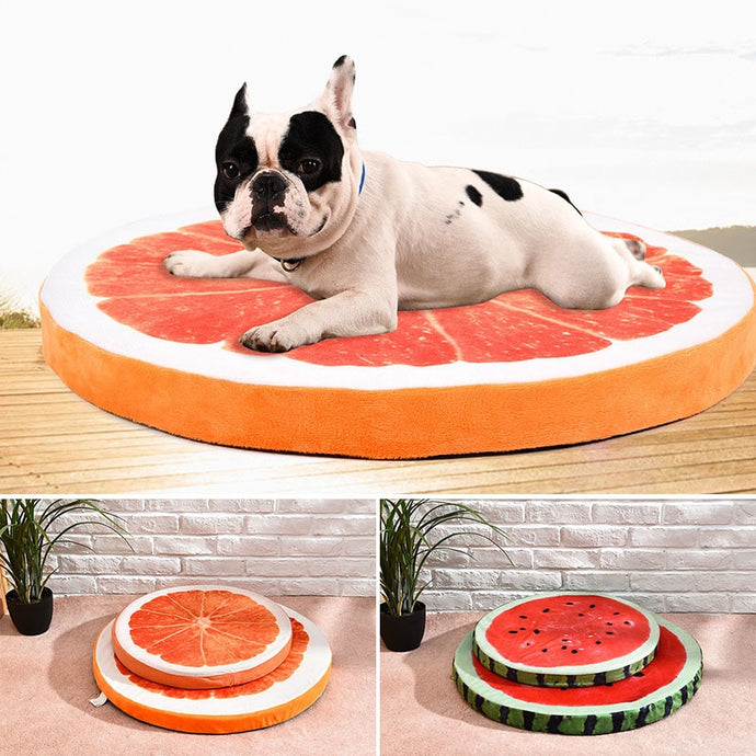 Orange Slice Dog Bed