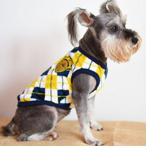 Country Club Canine Sweater