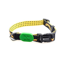 Sunshine Style Dog Collar