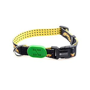 Sunshine Style Dog Collar