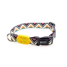 Sunshine Style Dog Collar