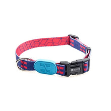 Sunshine Style Dog Collar