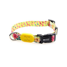 Sunshine Style Dog Collar