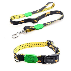 Sunshine Style Dog Collar