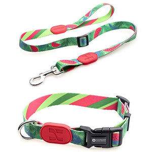 Sunshine Style Dog Collar