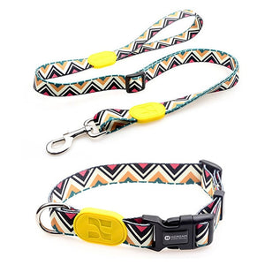 Sunshine Style Dog Collar