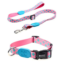 Sunshine Style Dog Collar