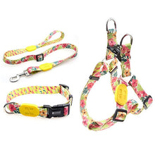 Sunshine Style Dog Collar