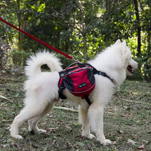 Canine Adventure Dog Saddle Bag