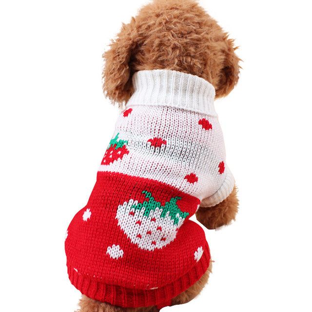 Doggy Sweetheart Knit Sweater