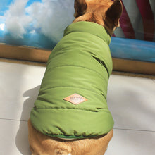 Padded Winter Dog Vest