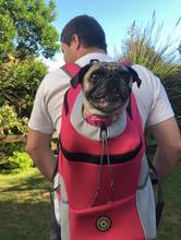 "Dog Around Town" Canine Backpack