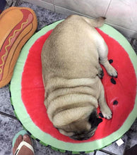 Orange Slice Dog Bed