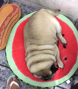 Orange Slice Dog Bed