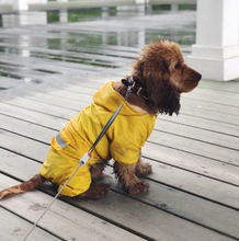 "Fly & Dry" Waterproof Dog Rain Jacket